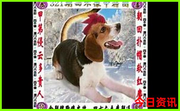 七八月份适合去哪里旅游国内小众